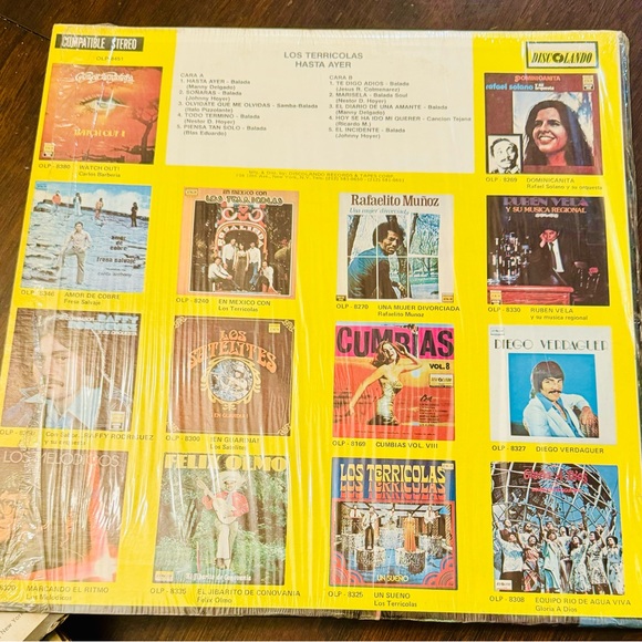 1979 Los Terricolas – Hasta Ayer Excellent condition Vinyl 12” - Picture 2 of 2